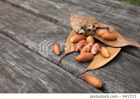 長椅和橡子 長椅和橡子 945723