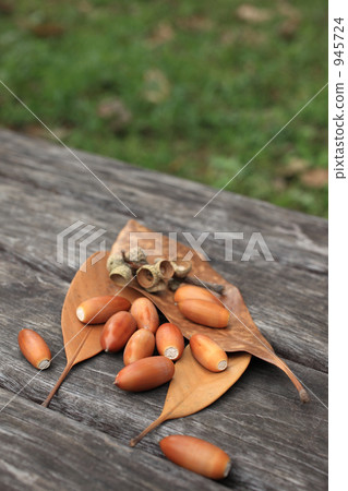 長椅和橡子 長椅和橡子 945724