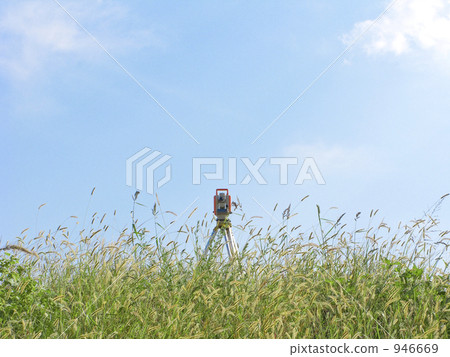 measurement, surveying, foxtail 946669