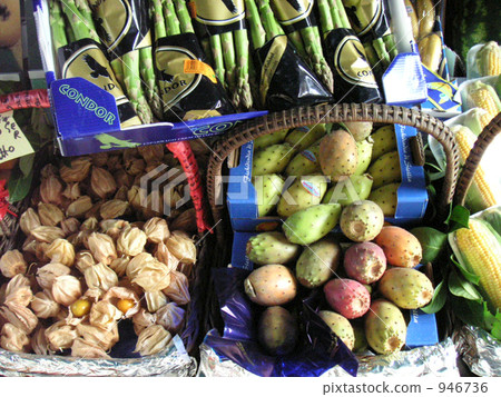 仙人掌 冬櫻花 食品 946736