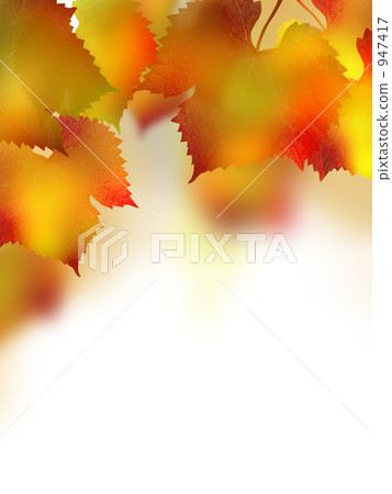 秋天的樹葉 秋天的樹葉 947417