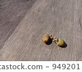 不尋常的橡子 949201