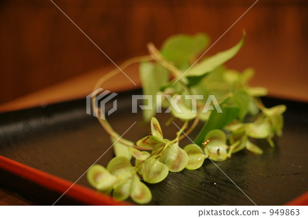 Flower of a basket 949863