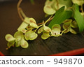 Flower of a basket 949870