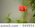 Wind chimes Buddha Flower 949954