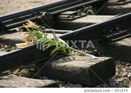 Auschwitz Lily lived on track of concentration camps Auschwitz Lily lived on track of concentration camps 951874