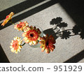indoor, vase, gerbera 951929