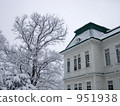 hokkaido university, new snow, fallen snow 951938
