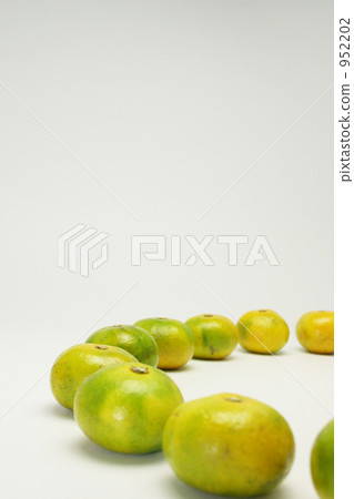 Mandarin orange Mandarin orange 952202