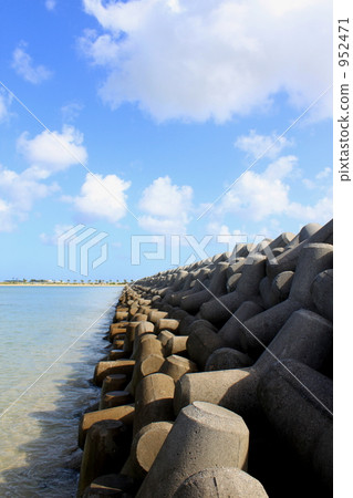 四足動物 海岸 海濱 952471