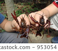 Crayfish also raised one hand and said "Hiy" 953054