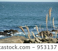 海岸 953137