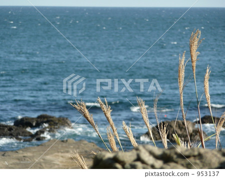 海岸 953137