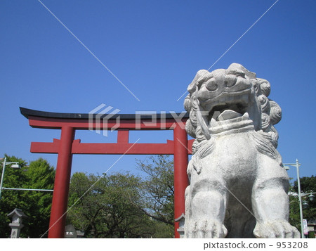 Kamakura Tsuruoka Hachiman's guardian dog (right) 953208