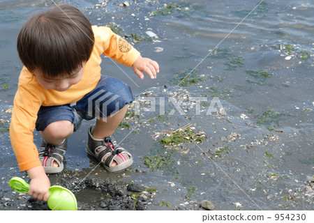 clamming, shellfish gathering, baby 954230