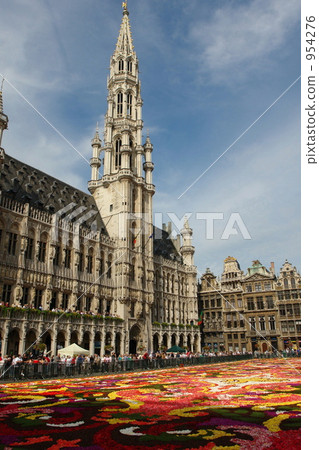 布魯塞爾花地毯 954276