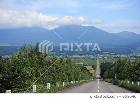 全景路Ehana 955046