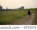  evening 955059