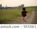  evening 955061