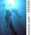 Diver silhouette 956990