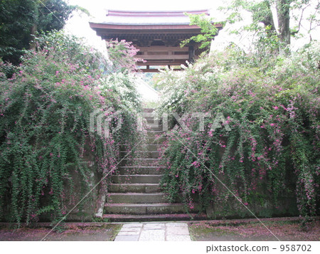 Hagi of the stairs Hagi of the stairs 958702