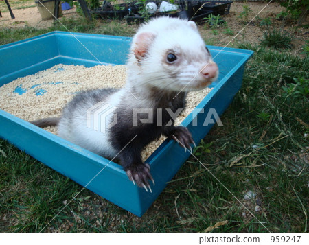 舉起 向上 升起 959247