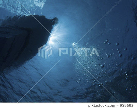 船的底部 水生的 水下 959692