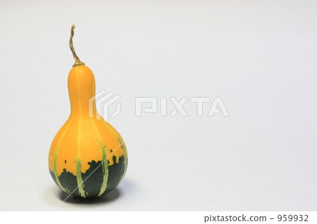 裝飾南瓜 裝飾南瓜 959932
