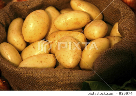 potato potato 959974