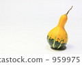 Decoration pumpkin 959975