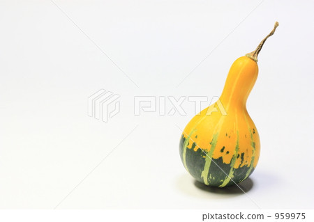 Decoration pumpkin Decoration pumpkin 959975
