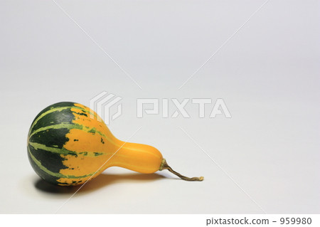 Decoration pumpkin 959980