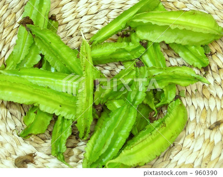 視覺豆 視覺豆 960390