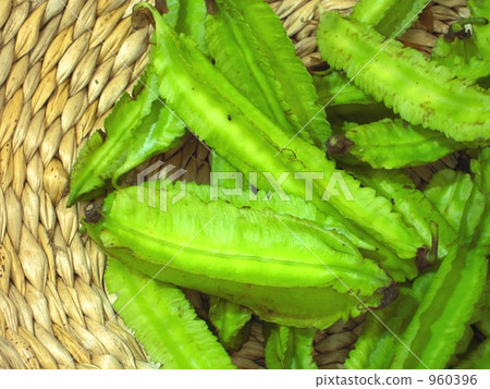 視覺豆 視覺豆 960396