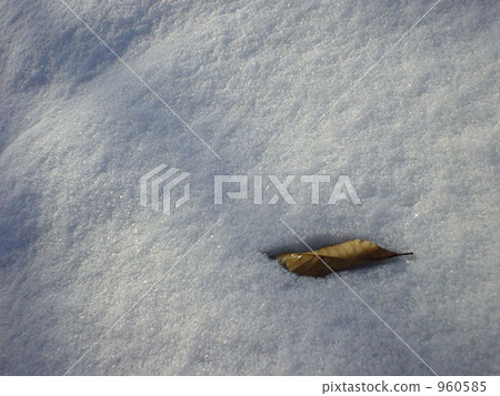 Snowy in winter 960585