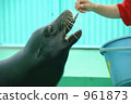 Sea lunch meal 961873