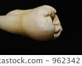 Extracted tooth 1 Extracted tooth 1 962342