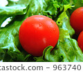 Salad tomatoes 963740