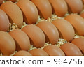 An egg 964756