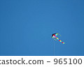 Western kite 965100