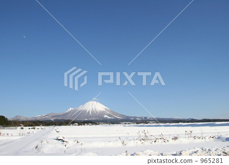Hoki Fuji Hoki Fuji 965281