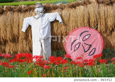 Autumn Harvest 965452