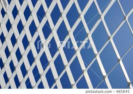 Blue and white 965645