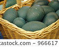 Emu's egg 966617