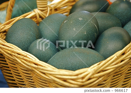 鴯egg的蛋 鴯egg的蛋 966617