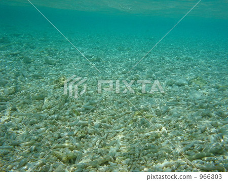 Underwater of Balus Island 966803
