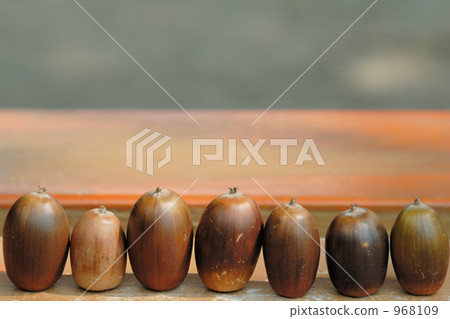 比較高度 橡果 一個橢圓 968109