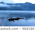 Driftwood on the lake 968180