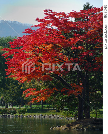 Late autumn of Lake Pond Late autumn of Lake Pond 968349