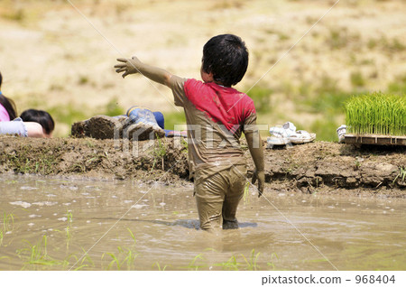 兒童水稻種植 968404